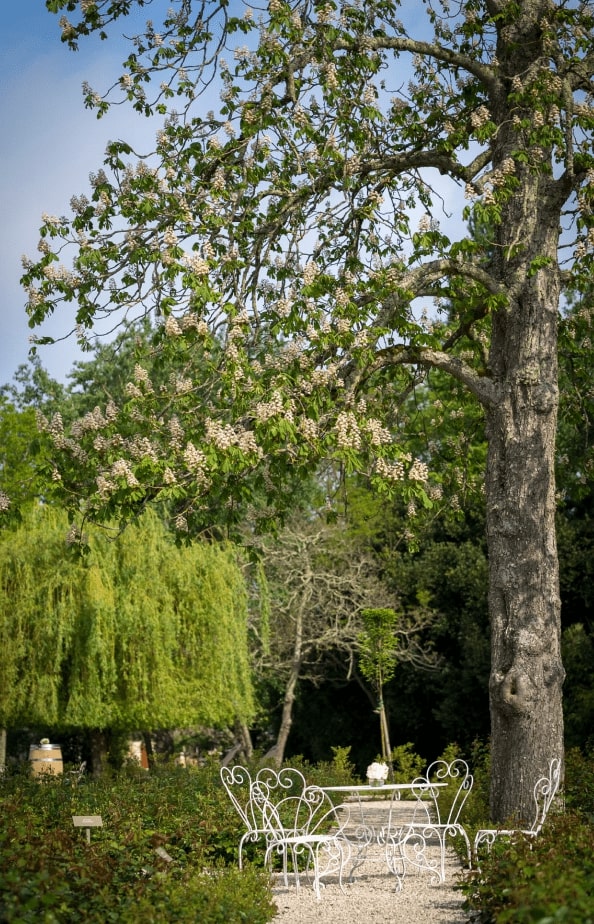 jardin du château Montlabert