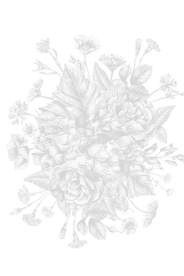 illustration fleurie