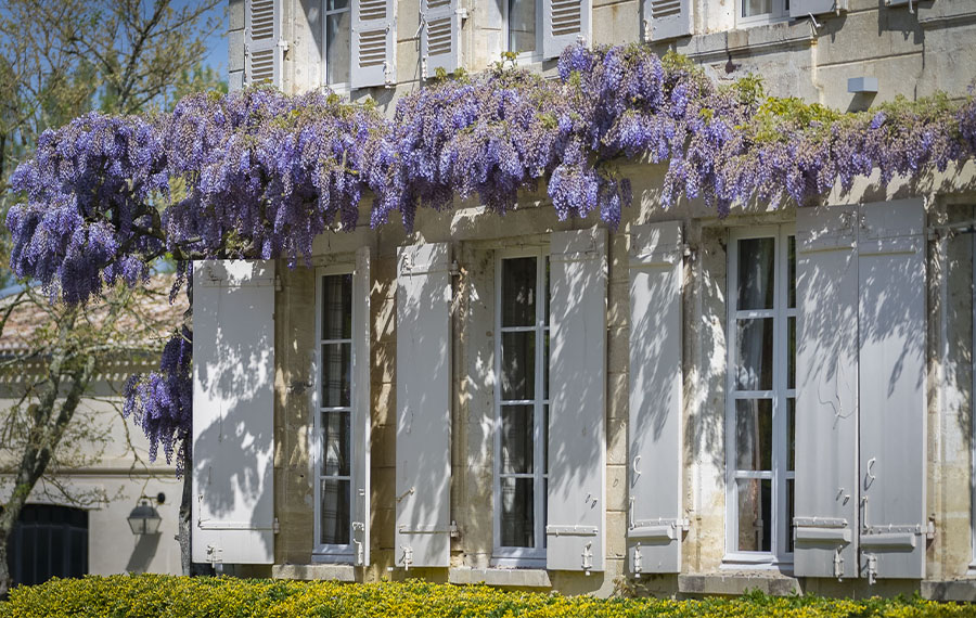 la façade du château